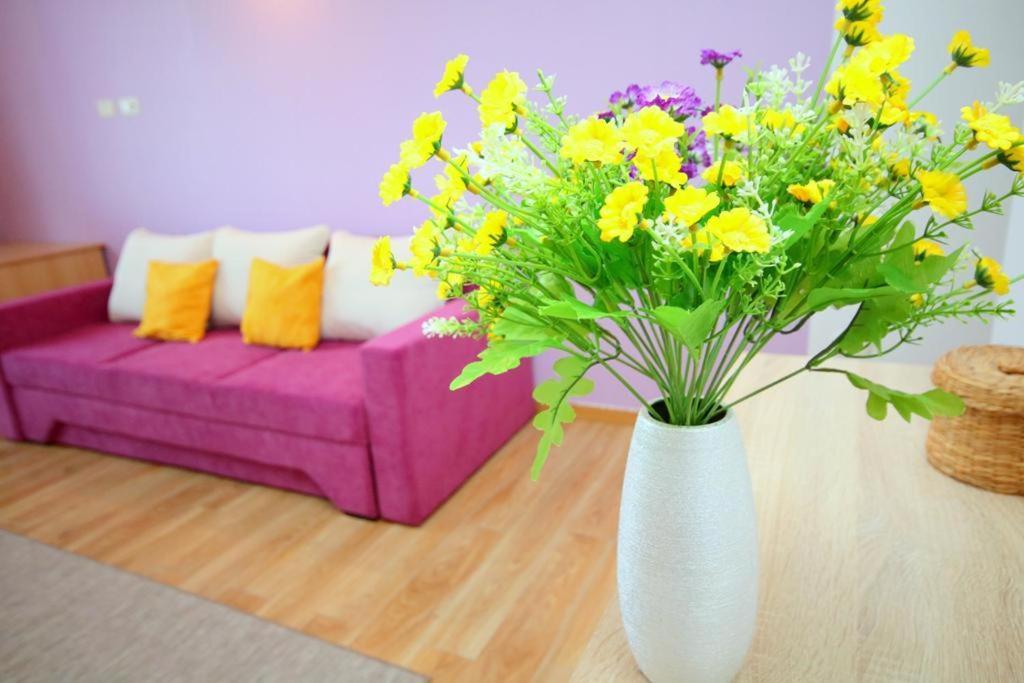 Flowers Apartments Тимишоара Экстерьер фото
